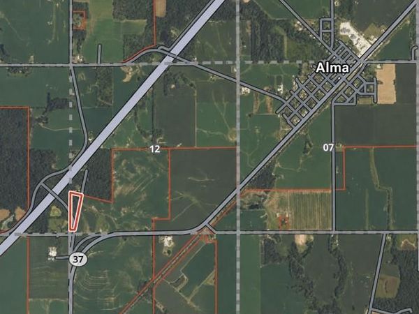 0 Martin Road , Alma, IL 62807
