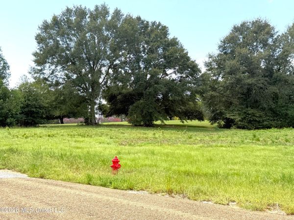 Fairway Drive, Fernwood, MS 39635