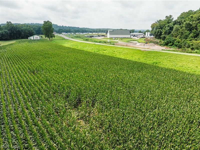 23846 State Route 93, Fresno, OH 43824 Photo 26