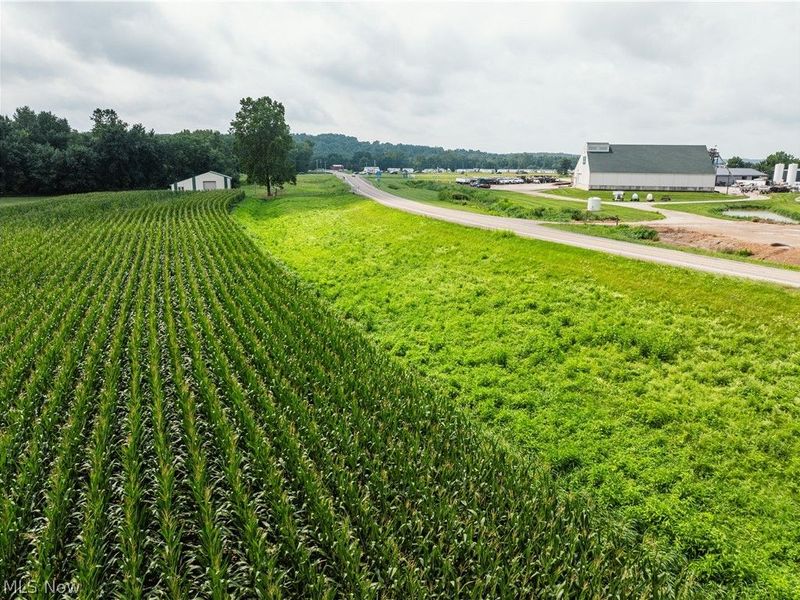 23846 State Route 93, Fresno, OH 43824 Photo 27