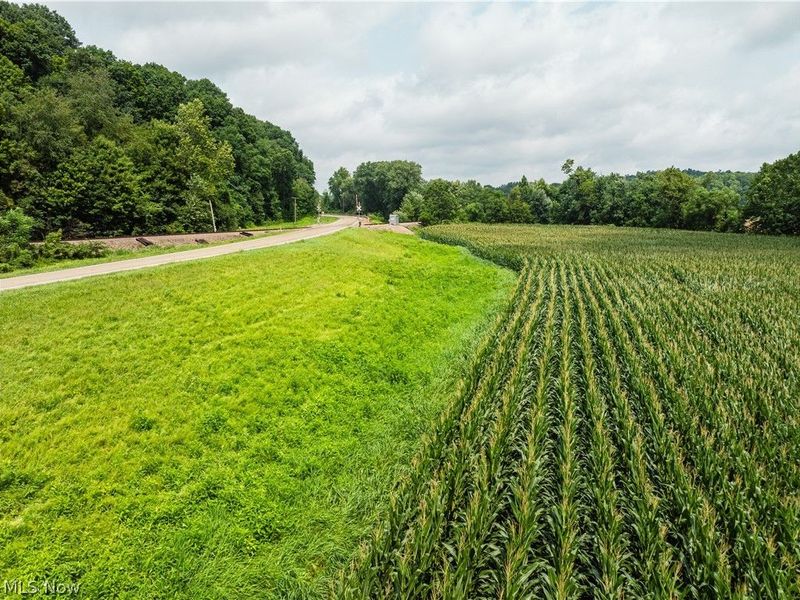 23846 State Route 93, Fresno, OH 43824 Photo 28
