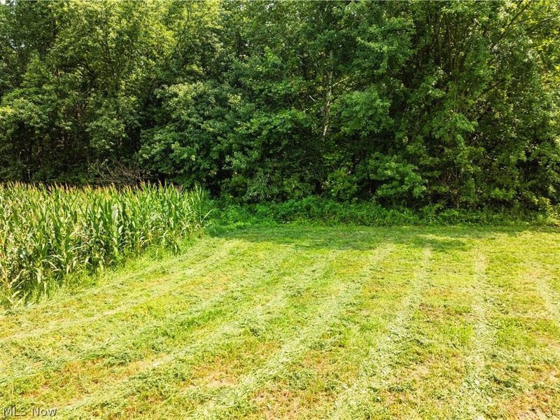 23846 State Route 93, Fresno, OH 43824 Photo 31