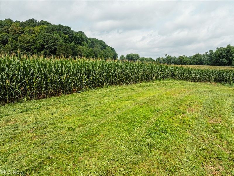 23846 State Route 93, Fresno, OH 43824 Photo 33