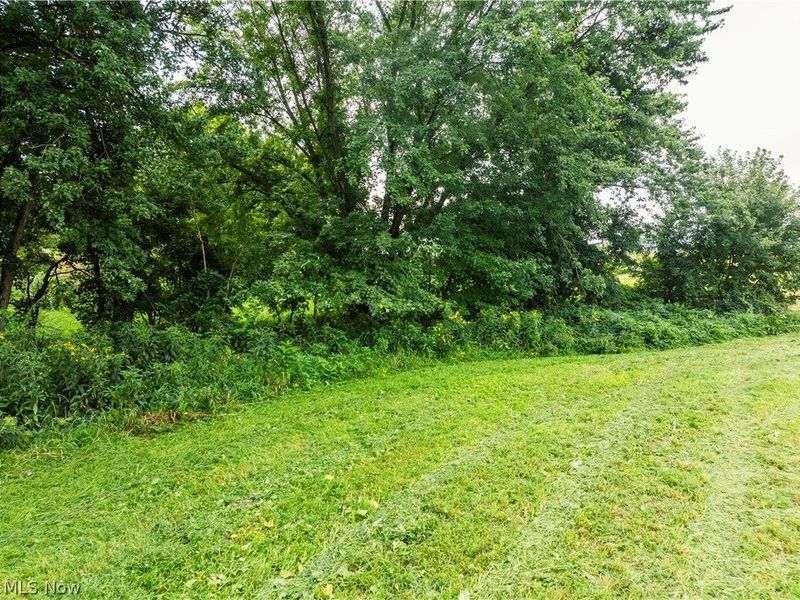 23846 State Route 93, Fresno, OH 43824 Photo 7