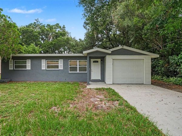 1339 E JACKSON AVENUE , MOUNT DORA, FL 32757