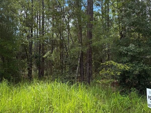4500 SW 175 COURT , DUNNELLON, FL 34432