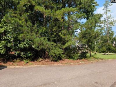 614 Golf Links Court, Chapin, SC 29036