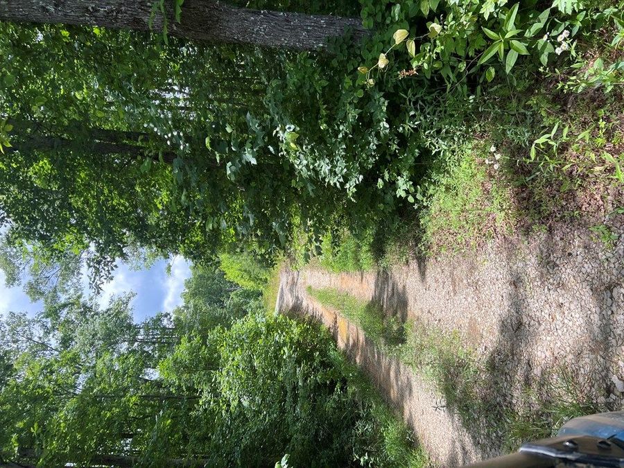 Property Image 50