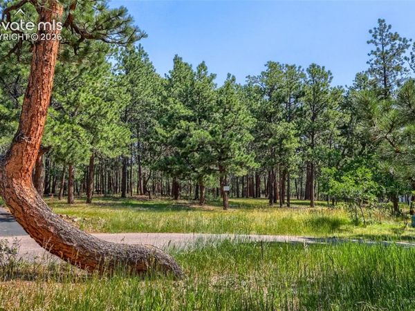 19420 Glencannon Way, Monument, CO 80132