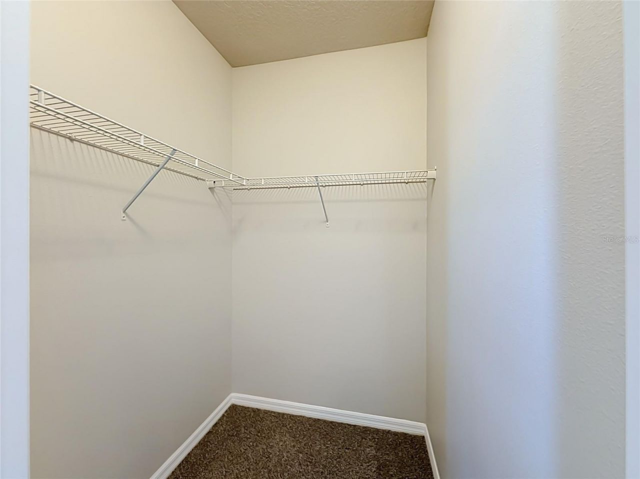 3319 Bethpage Loop , Mount Dora, FL 32757 Photo