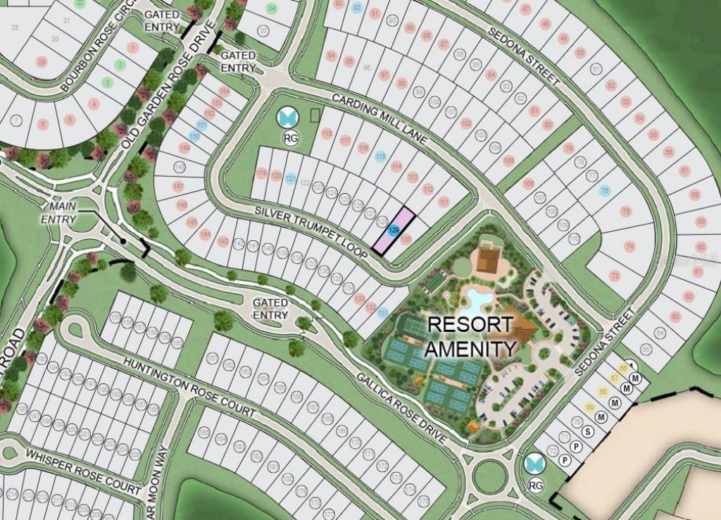 11202 Silver Trumpet Loop, Winter Garden, FL 34787 Photo