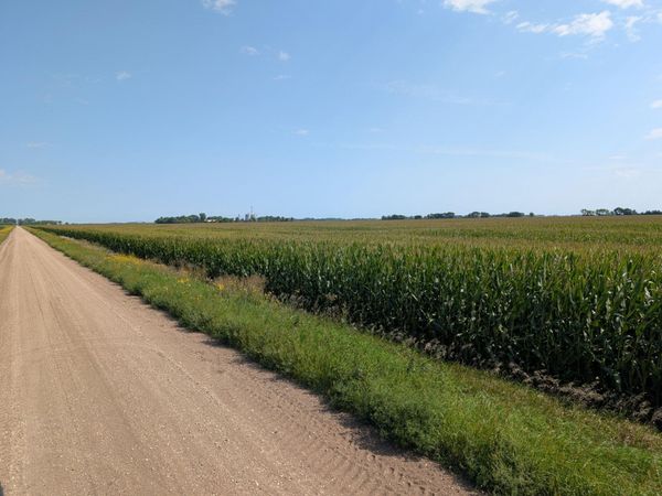 15670 610th Ave , Chokio, MN 56221