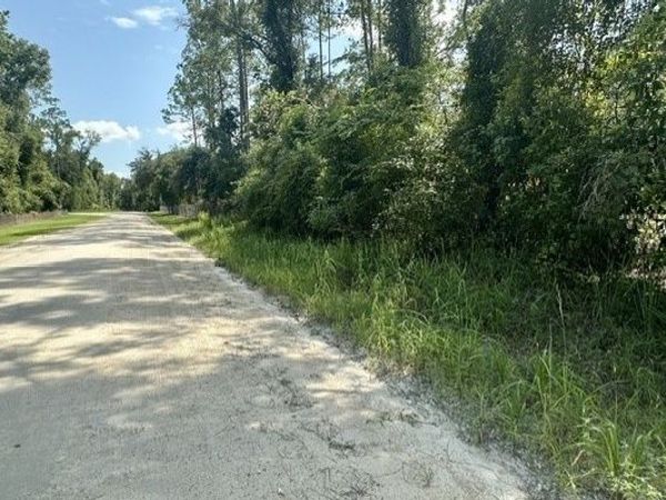 NE 796TH ST, Old Town, FL 32680