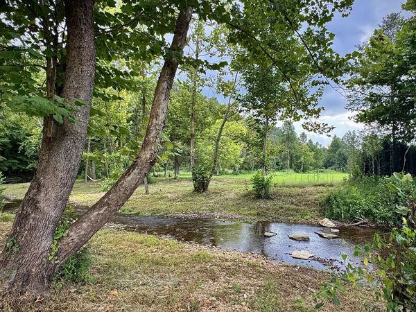 2280 Big Opossum Creek Rd , Linden, TN 37096