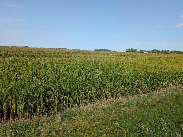 61010 180th St , Chokio, MN 56221