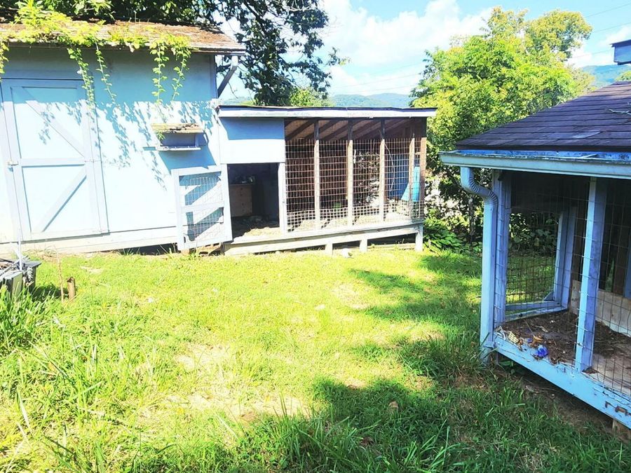 Property Image 13