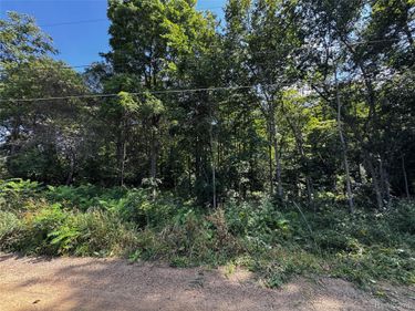 12195 Softwater Lake Dr , Argentine Township, Mi 48451