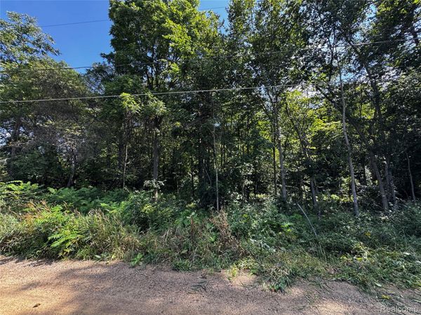 12195 Softwater Lake Dr , Argentine Township, Mi 48451