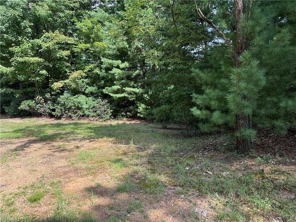 Lot 119 Rich Pine Drive , Purlear, NC 28665