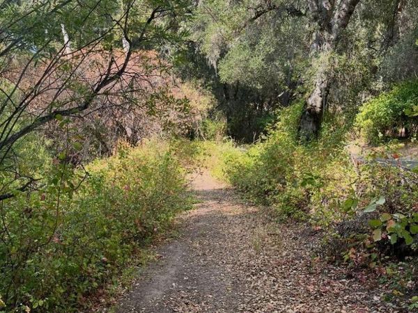 68 Asoleado Drive, Carmel Valley, CA 93924