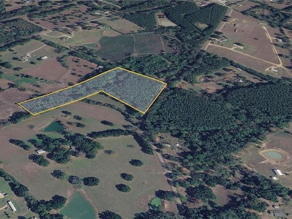 10.814 CAROL MORGAN Road , Franklinton, LA 70438