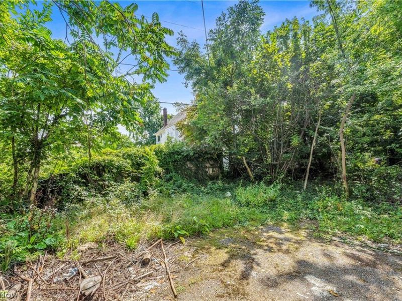 477 E 148th Street, Cleveland, OH 44110 Photo 42