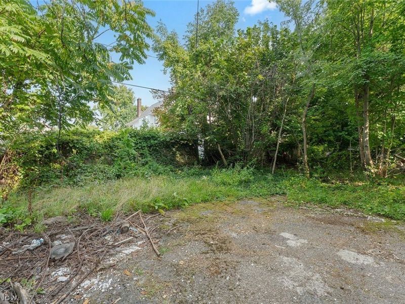 477 E 148th Street, Cleveland, OH 44110 Photo 43