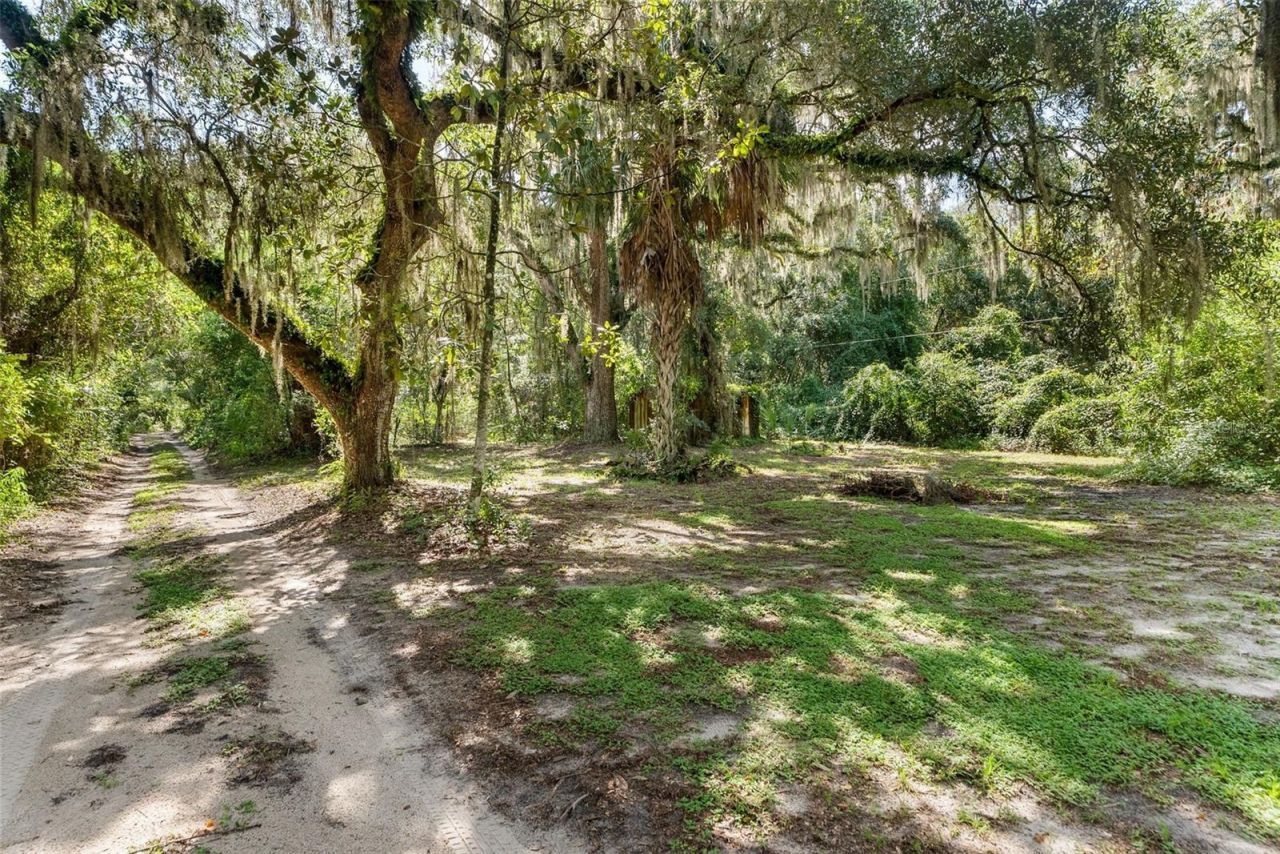177 E Cowpen Lake Road , Hawthorne, FL 32640 Photo