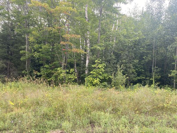 0 Pendills Lake RD, Brimley/Bay Mills, MI 49715