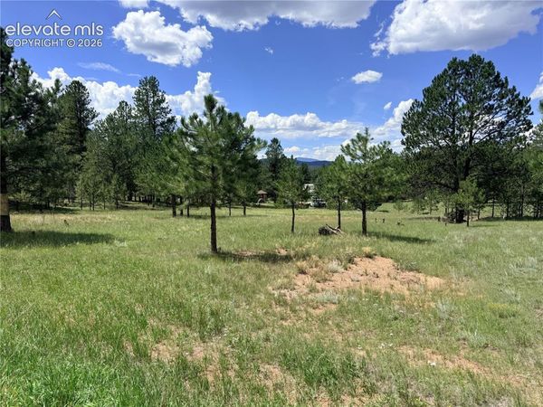 189 Rhyolite Lane, Florissant, CO 80816