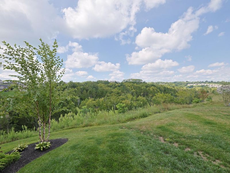 7801 Devonshire Drive, Alexandria, KY 41001 Photo 22