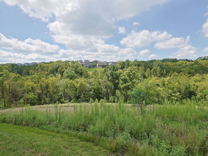 7801 Devonshire Drive, Alexandria, KY 41001 Photo 23