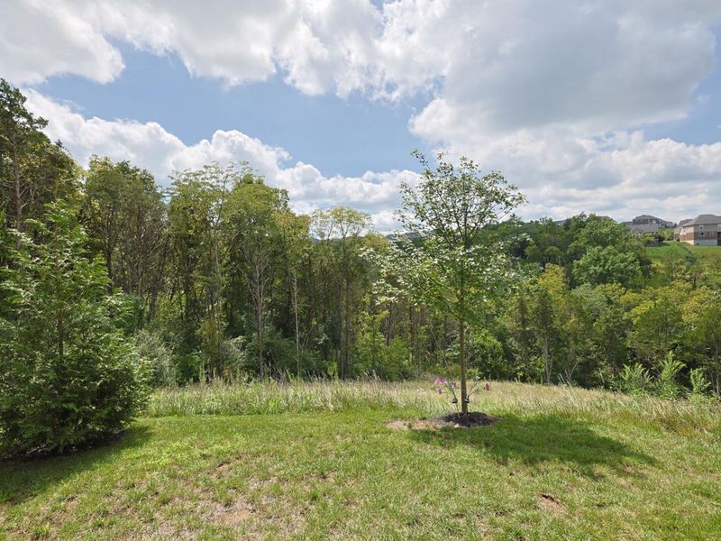 7801 Devonshire Drive, Alexandria, KY 41001 Photo 24