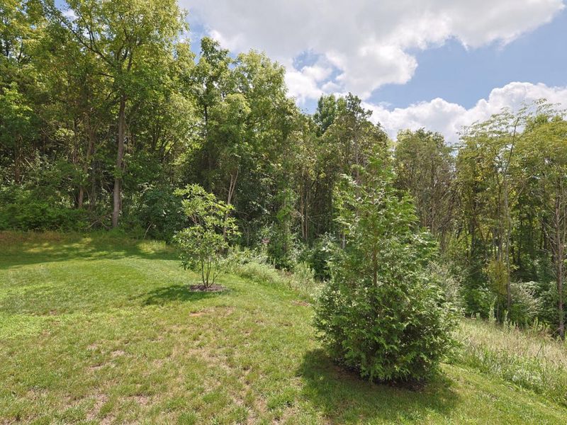 7801 Devonshire Drive, Alexandria, KY 41001 Photo 25