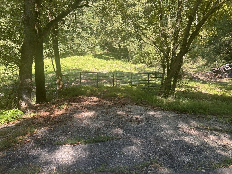 Property Image 39