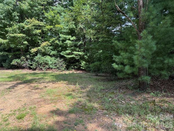 TBD Rich Pine Drive , Purlear, NC 28665