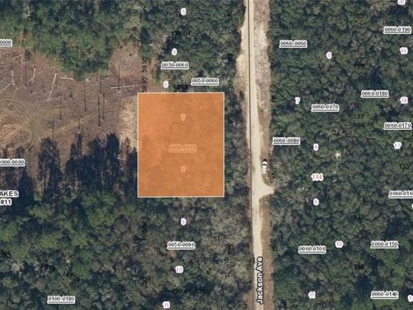 XX JACKSON AVE INTERLACHEN FL , INTERLACHEN, FL 32148