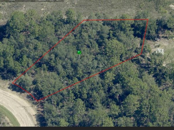6701 N DARLINGTON DRIVE , CITRUS SPRINGS, FL 34434