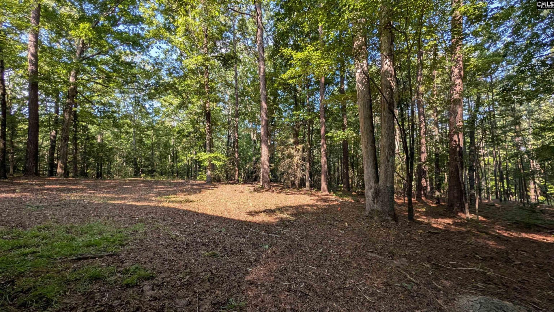 7907 Bruton Road Photo 24
