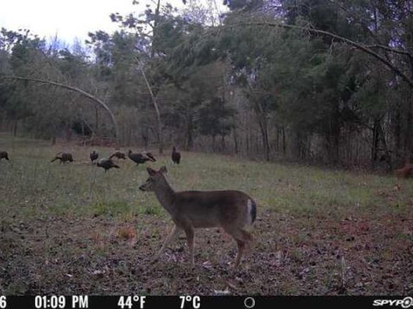 181 Cr 415, Oxford, MS 38655