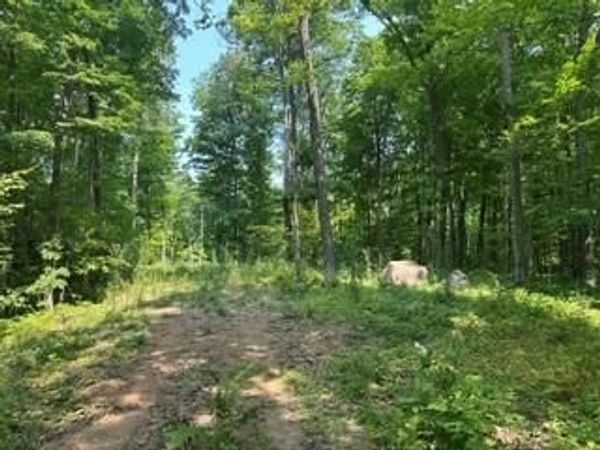 10810N Dachstein Lane, Hayward, WI 54843