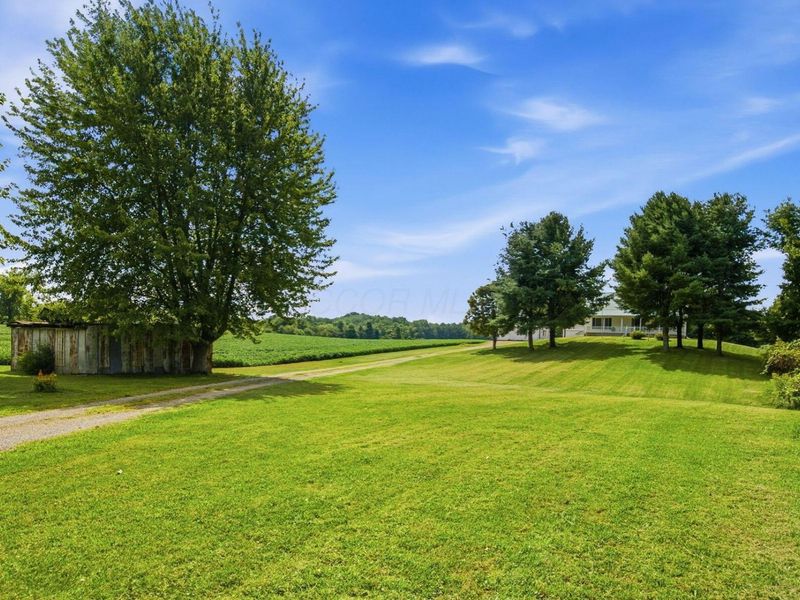 5564 County Road 109, Mount Gilead, OH 43338 Photo 6