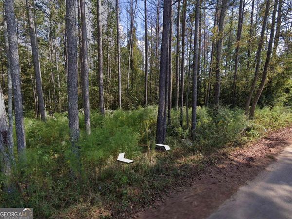 0 Holly Road, Unit TRACT 3, Bowdon, GA 30108