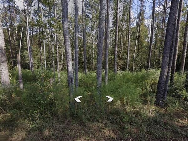 0 Holly Road TRACT 3, Bowdon, GA 30108