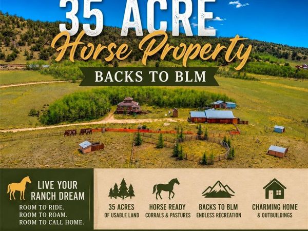 474 Gap Road, Fairplay, CO 80440