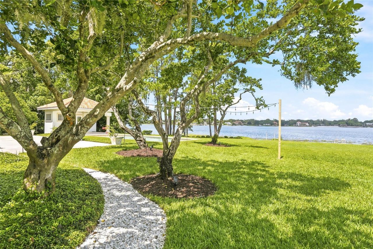11104 Winthrop Way, Tampa, FL 33612 Photo