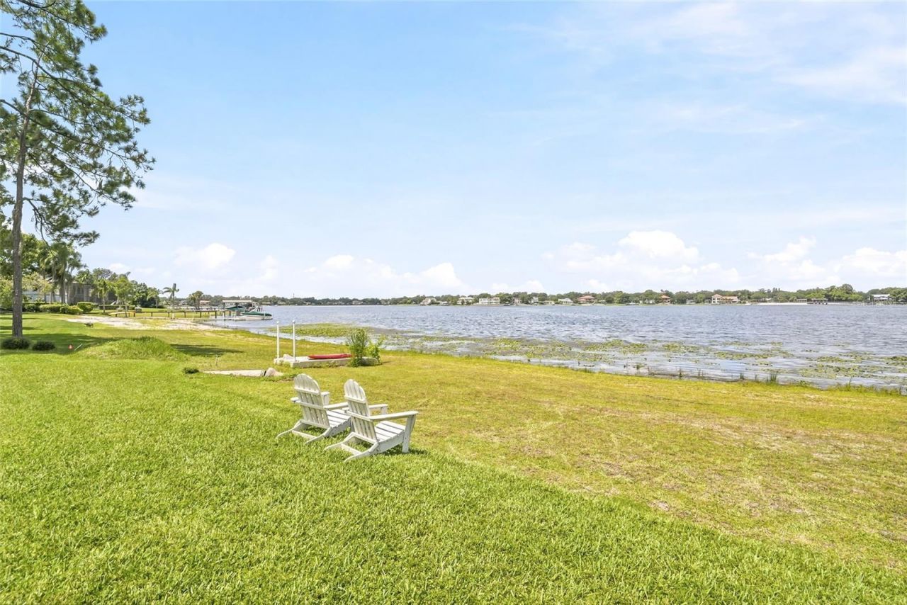 11104 Winthrop Way, Tampa, FL 33612 Photo