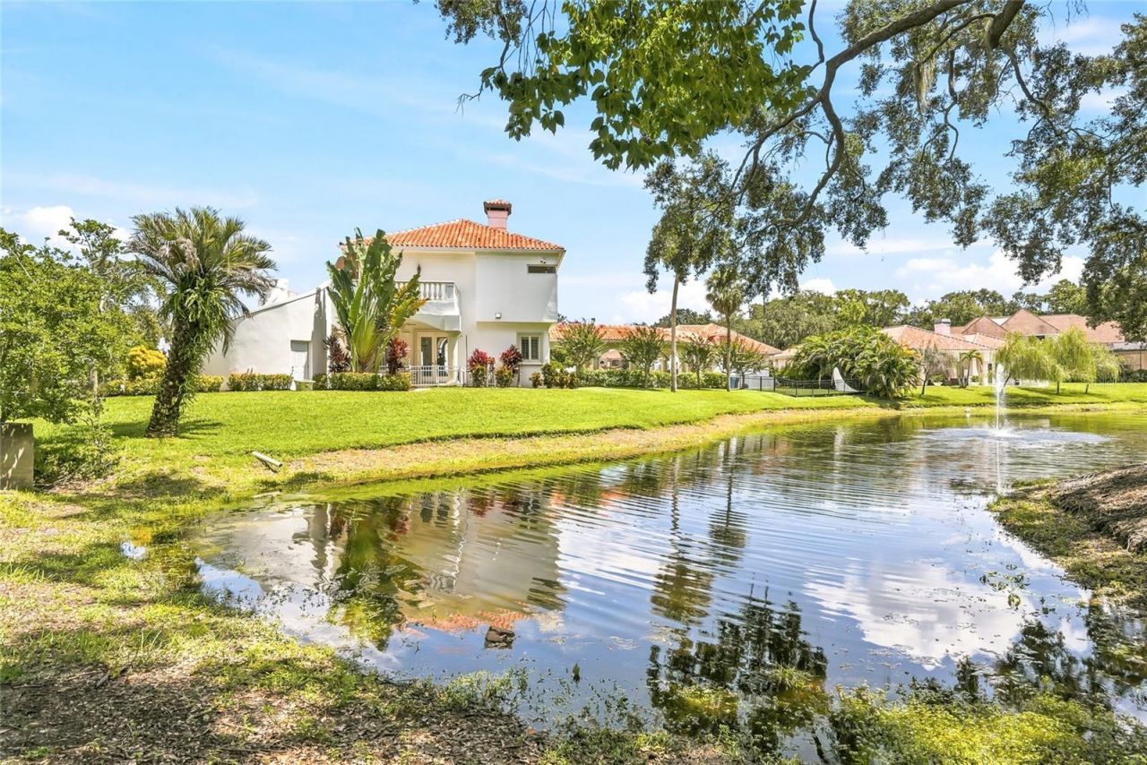 11104 Winthrop Way, Tampa, FL 33612 Photo