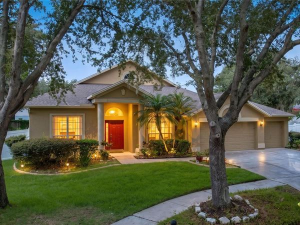 1124 SPLIT SILK STREET , VALRICO, FL 33594