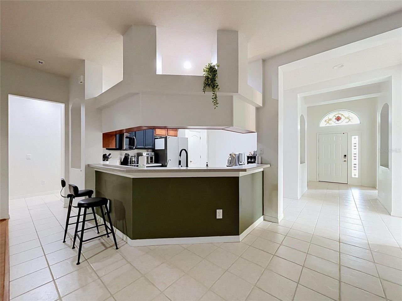 1124 Split Silk Street , Valrico, FL 33594 Photo